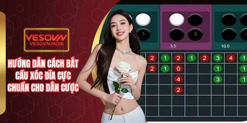 Bắt cầu xóc đĩa