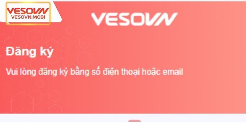 Từ A đến Z về quy trình đăng ký VESOVN